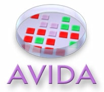 Read more about the article Avida