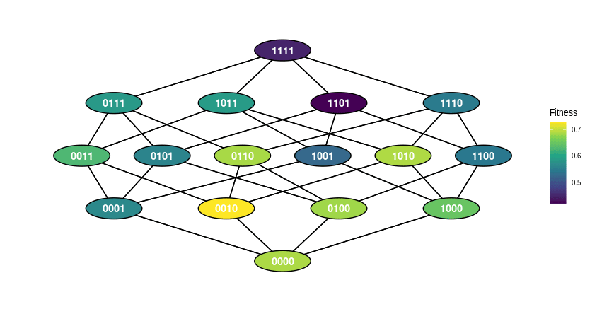 An example graph-based fitness landscape, representing a scenario where there are four traits of interest, each of which can be present or absent. Mutations can add or remove a single trait at a single time.
