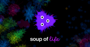 Read more about the article Soup of Life
